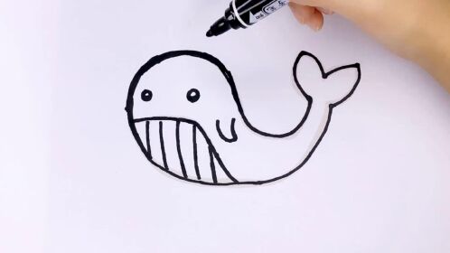 海底小纵队的新成员小鲸鱼