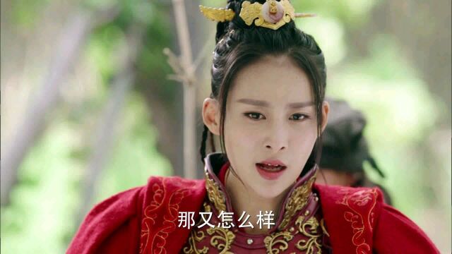 武神赵子龙将门虎女