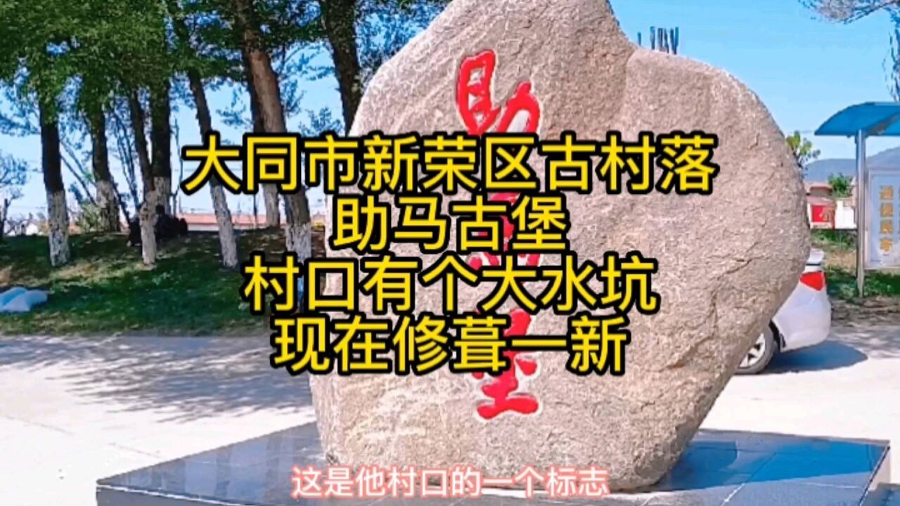 大同市新荣区古村落助马堡,一进村有个大水坑,还有一颗参天古树