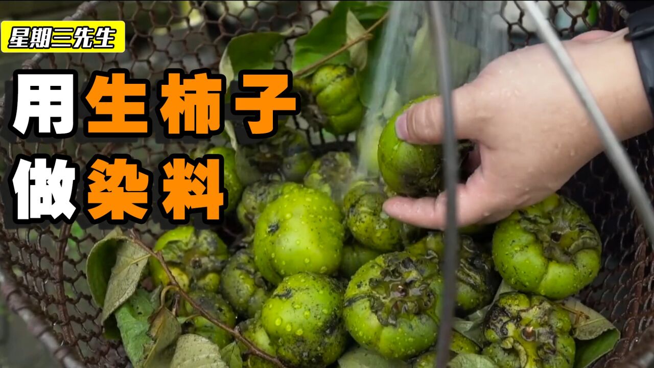 用没有成熟的柿子，经过一年的加工，制作昂贵的柿染服装_高清1080P在线观看平台_腾讯视频