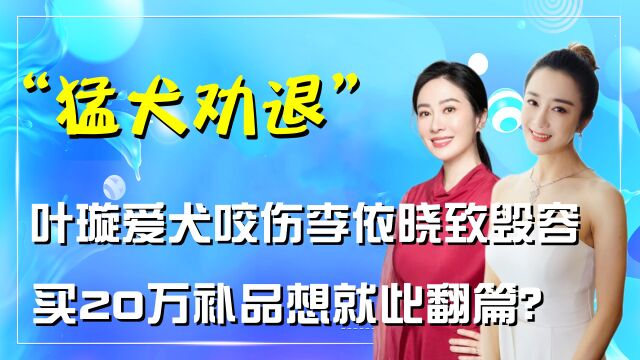 呛声金星不能生育,纵狗咬伤李依晓,情商感人的叶璇为何能胜诉?