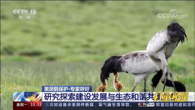 专家呼吁:研究探索建设发展与生态和谐共赢举措