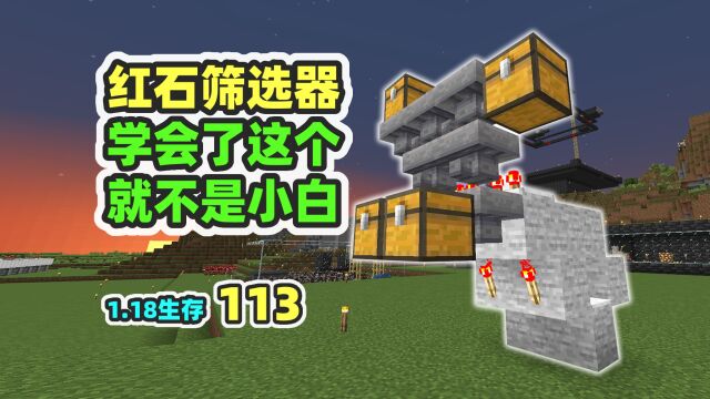 筛选器!学会了这个,你就不再是小白了 MC1.18生存113