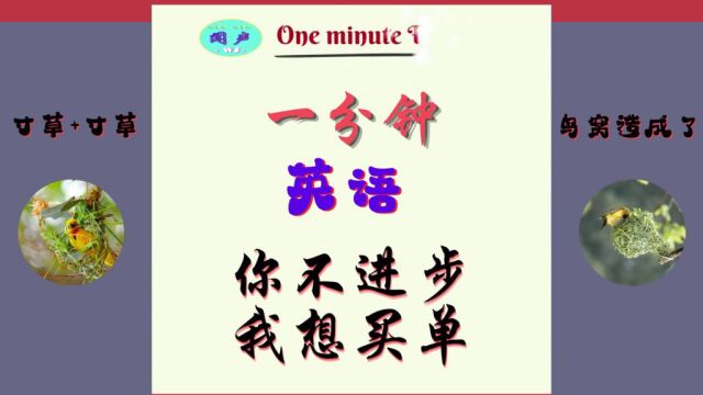 一分钟英语DA 01 你不进步我想买单 | 英语学习 | Learn English | 英语日常会 | 英语口语