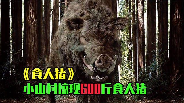 村里出现5000斤食人猪把活人当成美食开始四处觅食食人猪