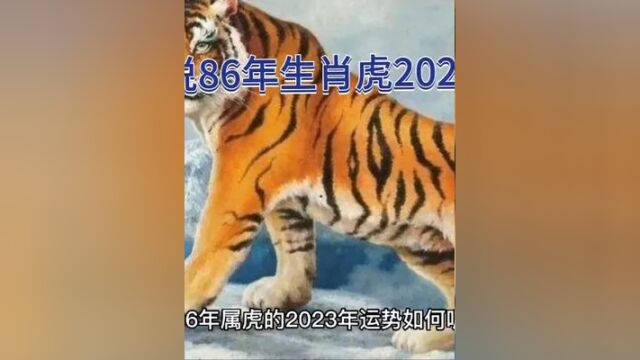 今天说说86年生肖虎在2023年运程#老虎 #86年的虎 #86年虎在2023年运程 #涨知识