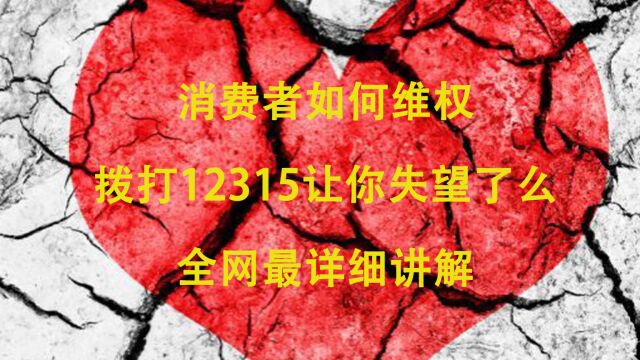 消费者如何维权,全网最详细讲解,12315如何正确使用 死磕京东