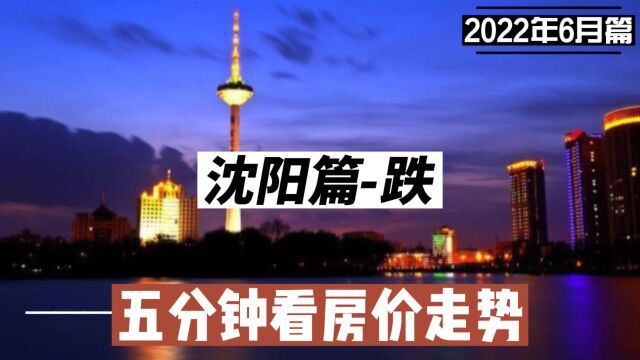 沈阳篇跌,五分钟看房价走势(2022年6月篇)