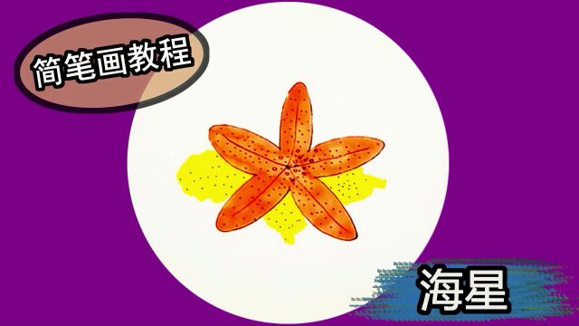 简笔画教程 怎么画海星简笔画?一学就会的绘画教程,一起学画画