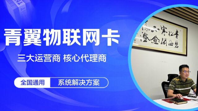 老向聊物联卡:13位手机号是物联卡吗?其有哪些功能亮点?独立网元、专用号码段