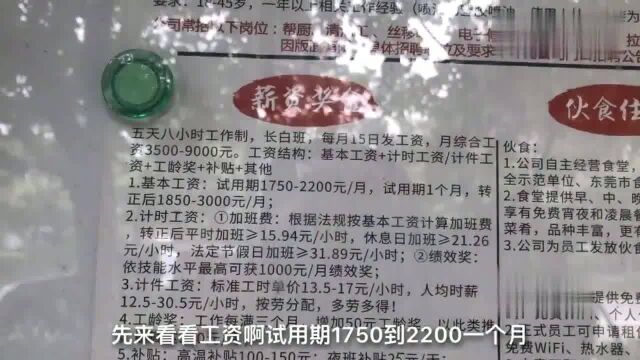 广东东莞:实拍松山湖漫步者,月工资可达9000看着都想笑