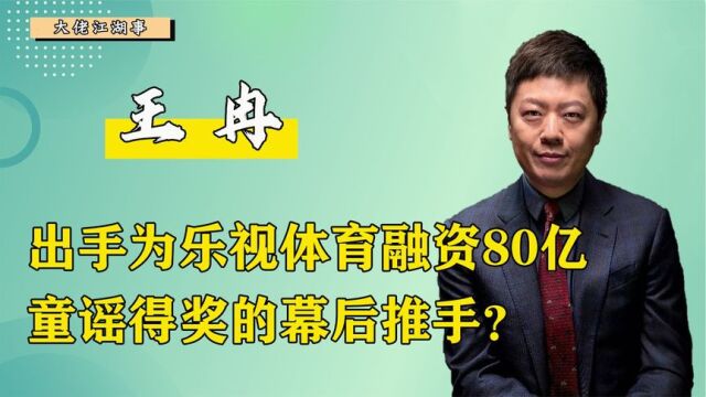 身家雄厚名下15家公司,帮贾跃亭融资80亿,童谣拿奖背后的推手?