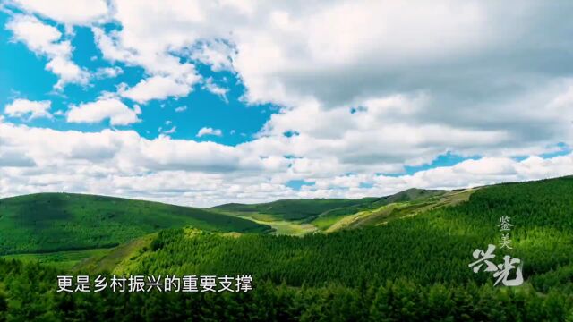 兴光 | 这里是赤峰市松山区