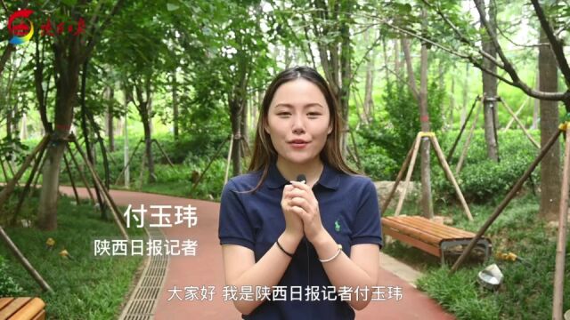 打卡西安林荫大道丨这,就是“幸福”的样子