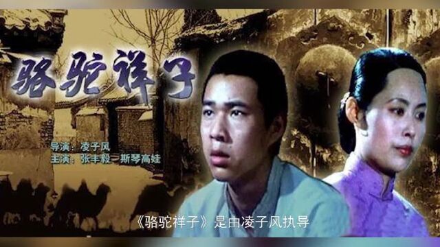 立懂百科带你了解骆驼祥子