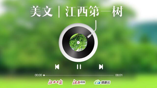 美文美声丨刘上洋:江西第一树