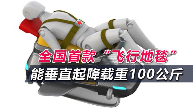 南开大学研发硬核飞行器,载重100公斤能垂直起降,战争中有什么用