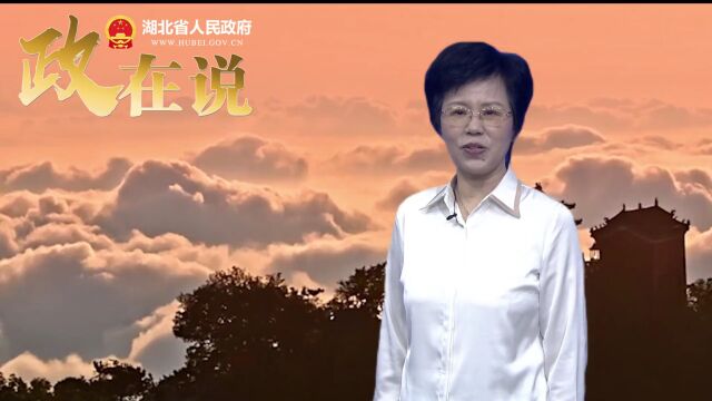 李述永:文旅融合绘就荆楚乡村振兴美丽画卷