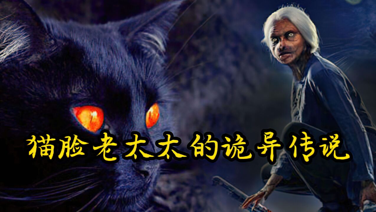 猫脸老太 恐怖片图片