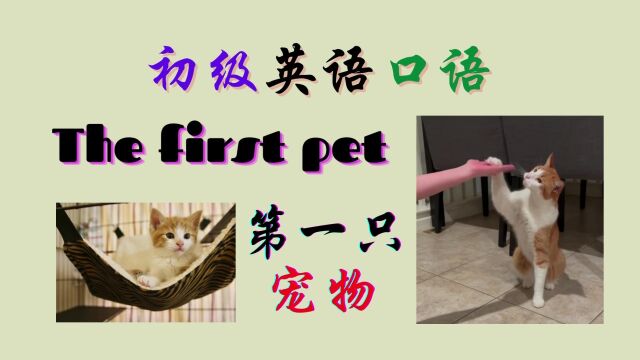 初级英语口语My first pet ( 我的第一个宠物)| 英语学习 | 英语发音 | learn English 