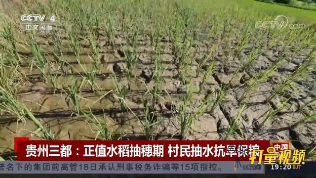 高温少雨持续!贵州三都:正值水稻抽穗期,村民抽水抗旱保粮