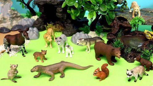动物世界系列：新的野生动物玩具