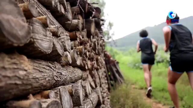 在这所农村中学 他们“跑山”圆梦大学