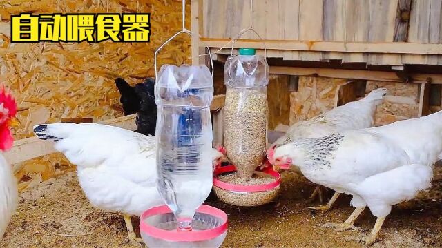 用塑料瓶制作家禽全自动的喂食器,喂食完全不需要人工来操作