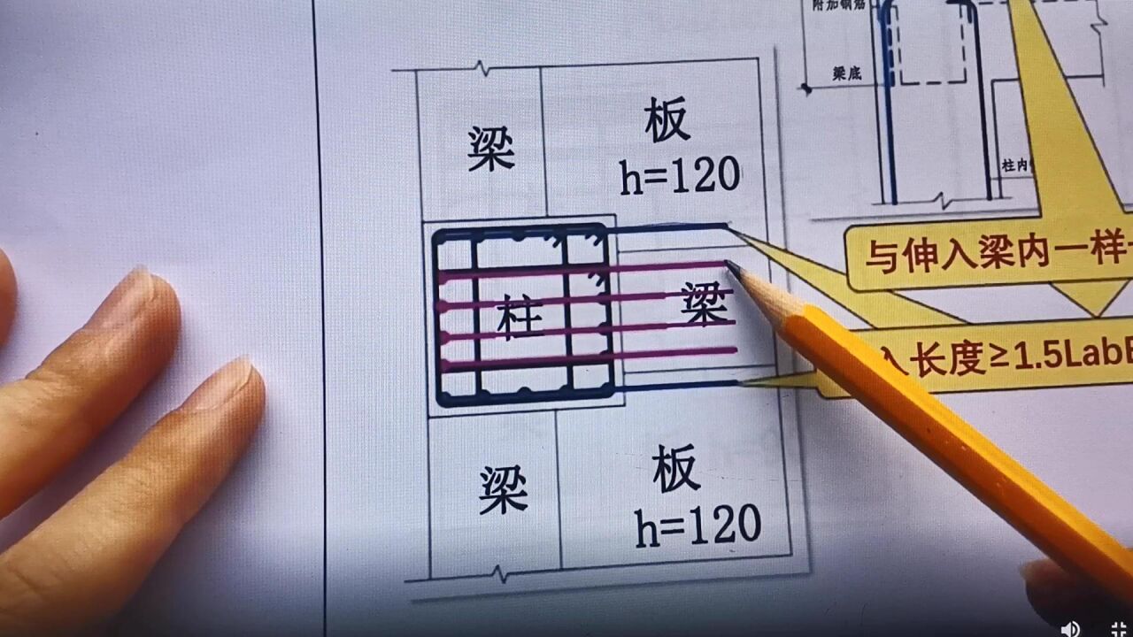 16g101梁锚柱图片