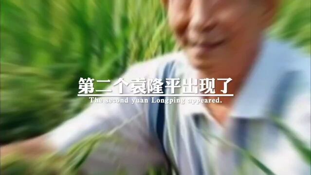 第二个袁隆平出现了,他叫腾飞,祖籍山东,是一个1995年才大学毕业的小伙