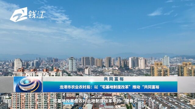 龙港市农业农村局:以“宅基地制度改革”推动“共同富裕”