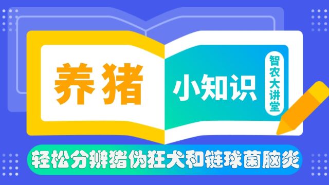 三招教你轻松分辨猪伪狂犬和链球菌脑炎!