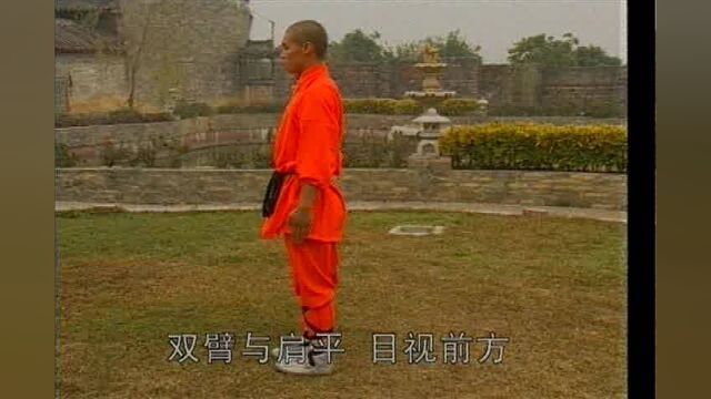 少林八极拳 5