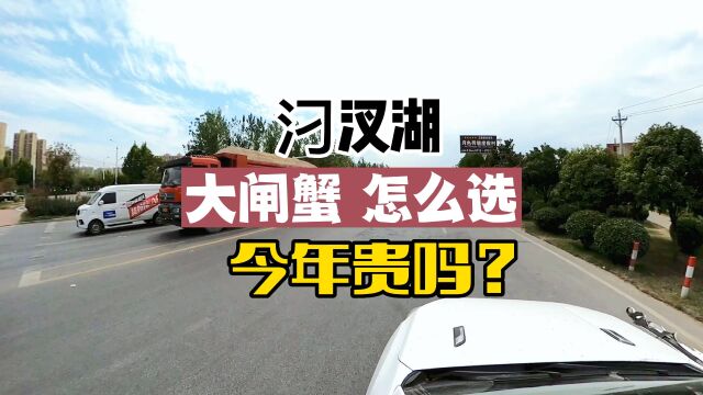 汈汊湖大闸蟹抢鲜上市价格略高,送人的大螃蟹还难找,这里居然有