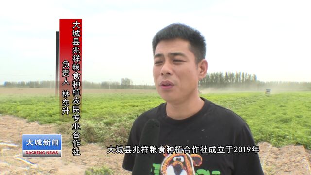 【喜迎二十大 建功新时代】臧屯镇刘固献村:3600余亩花生喜获丰收