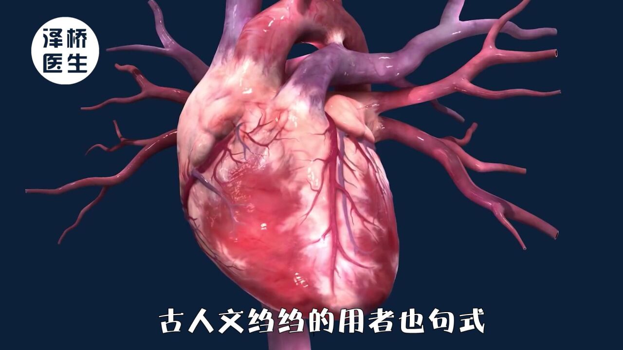 养生“先养心”,中医如何养心呢?_高清1080P在线观看平台_腾讯视频