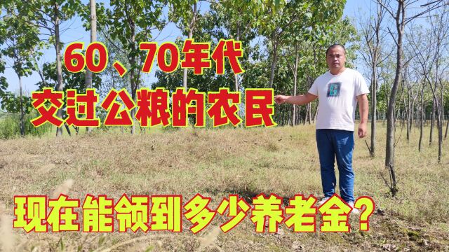 60、70后交过公粮的农民,现在能领多少养老金?一起来听听