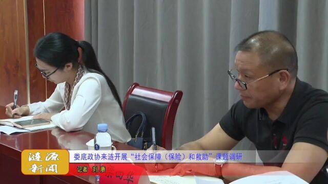 娄底政协来涟开展“社会保障(保险)和救助”课题调研