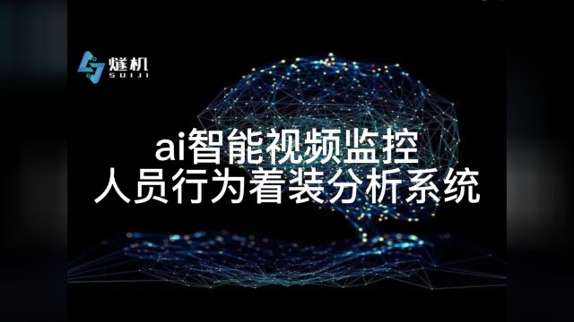 ai智能视频监控系统人员行为着装分析监控报警