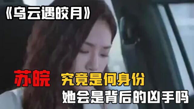 乌云遇皎月:苏皖究竟是何身份,她会是背后的凶手吗?