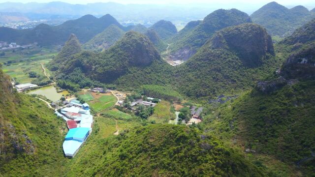 广西桂北一好地,正中小山犹如乌龟,左边山很像一只凤凰展翅欲飞