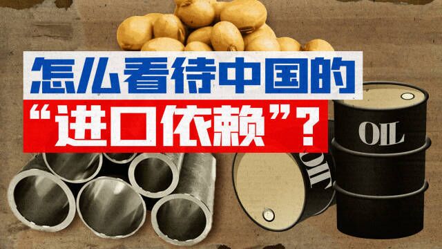 依赖进口资源可怕吗?我们从四个主要进口商品谈起【宁南山】