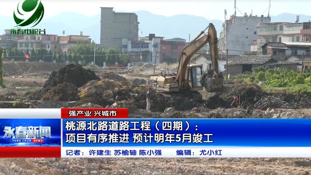 【强产业 兴城市】桃源北路道路工程(四期):项目有序推进 预计明年5月竣工