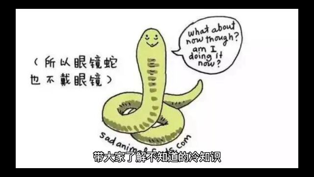 这些中国的小知识你都知道几个?