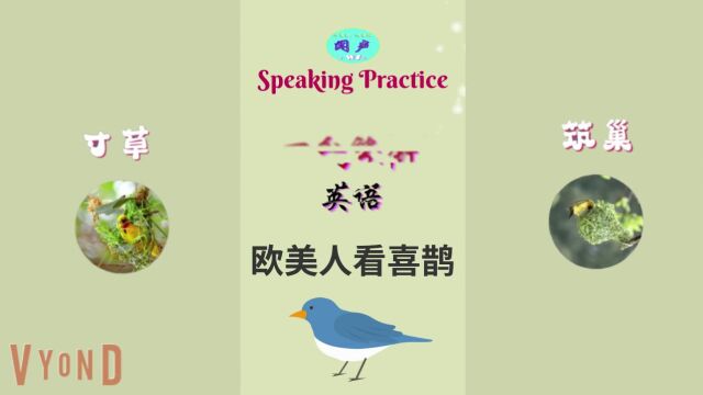 T228 欧美人看喜鹊 | 英语口语天天练 | 英语学习 | Learn English | Daily English Conversation