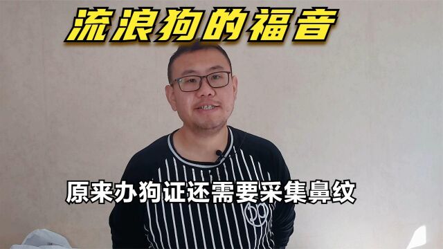 原来办狗证还需要采集鼻纹,如果收费不高,也算是流浪狗的福音了