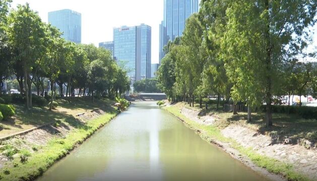 “广州河长”APP协助河长高效治理河涌,保持水清岸绿