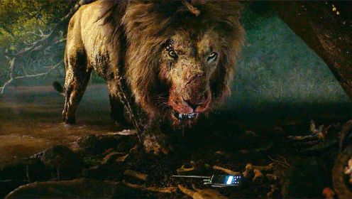 这才真正的猛兽片，狮群惨遭灭门，狮子王对人类展开血腥复仇