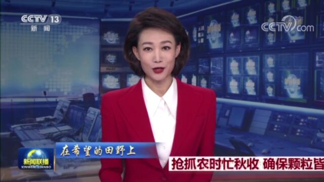 《新闻联播》聚焦:甘肃合水 千亩水稻喜获丰收