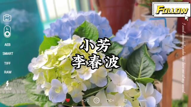 李春波《小芳》,经典歌曲,感谢聆听